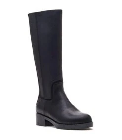 Rocket Dog - Bottes Mi-mollet PALOMINO SANTEE - Femme (Noir) - UTFS9196