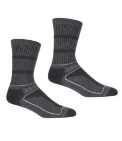 Regatta - Chaussettes Pour Bottes SAMARIS SEASON - Femme (Gris / Gris Clair) - UTRG6074